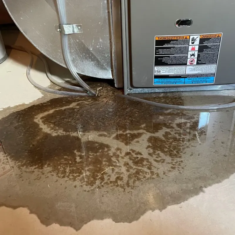 Pipe Burst and Leak Restoration in Jackson Center, OH