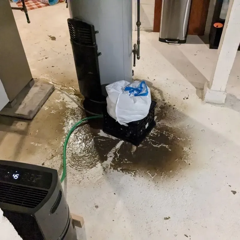 Sewage Backup Cleanup Service in Jackson Center, OH